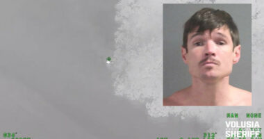 Florida Man Car-Jacks Good Samaritan, Tries Swimming to Freedom