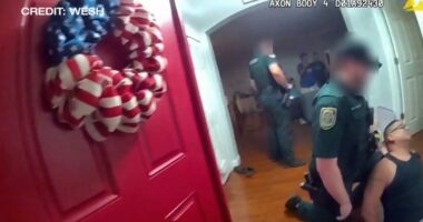 Florida deputies force way into wrong home in search of shoplifting suspect