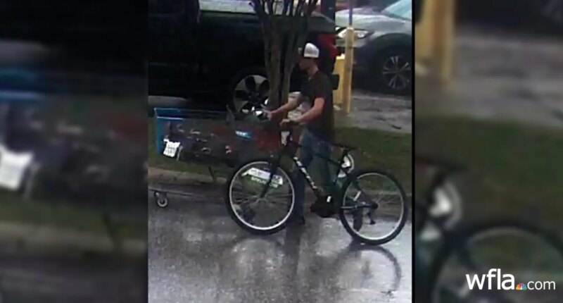 Florida teen arrested after shooting himself in staged abduction, deputies say