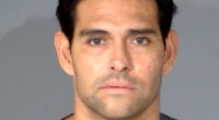 Former NFL quarterback Mark Sanchez speaks out after jail booking, hospital discharge