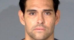 Former NFL quarterback Mark Sanchez speaks out after jail booking, hospital discharge