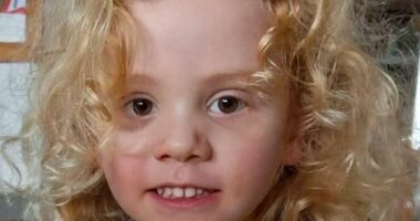 Missing four-year-old Gus
