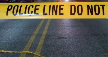 Four killed and 20 injured in idyllic island bar shooting
