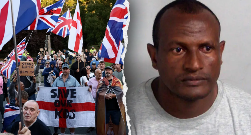 Frantic manhunt launched after asylum seeker who sexually assaulted teen accidentally freed from prison