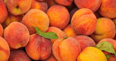 Fresh peaches sold across US recalled over listeria risk