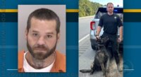 Fugitive apprehended in Augusta swamp after K-9 pursuit