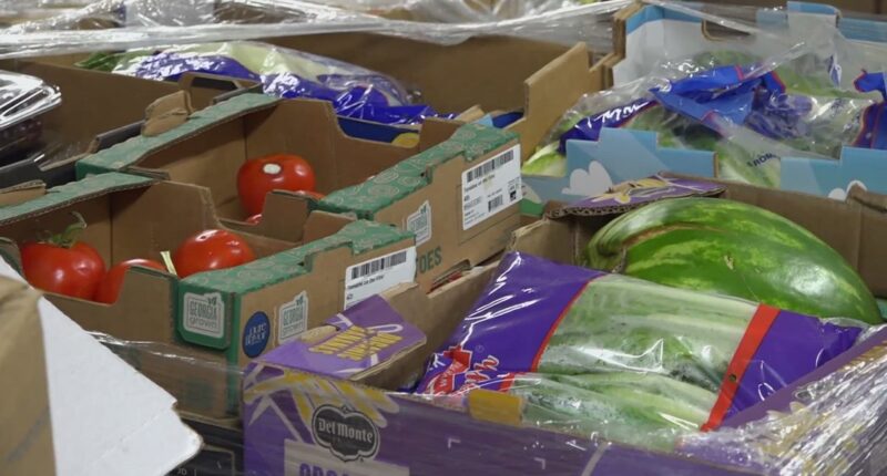 Georgians and Floridians won't receive November SNAP benefits if government shutdown continues