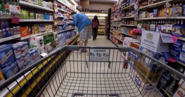 Gov. Lee warns to expect delay in SNAP benefits