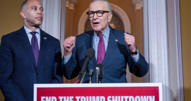 Government shutdown: Democrats say Trump needs to be involved, but he's shown little interest in doing so