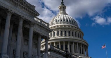 Government shutdown enters fifth day as Democrats and Republicans remain at an impasse