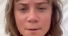 Greta Thunberg posts video claiming she has been ABDUCTED by Israel