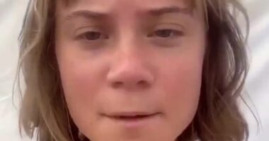 Greta Thunberg posts video claiming she has been ABDUCTED by Israel