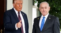 Hamas AGREES to hand over all hostages under Trump peace plan for Gaza
