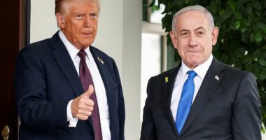 Hamas AGREES to hand over all hostages under Trump peace plan for Gaza
