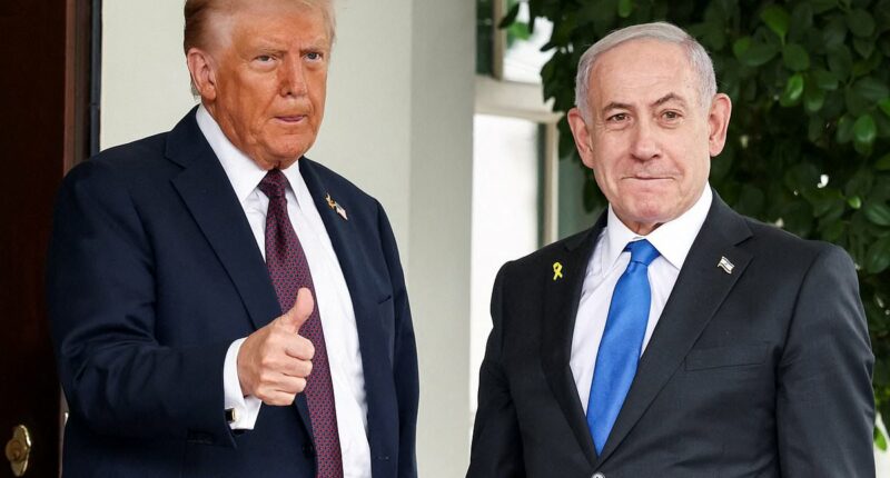 Hamas AGREES to hand over all hostages under Trump peace plan for Gaza
