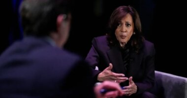 Harris: Democrats are ‘doing the right thing’ with shutdown stalemate