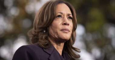 Harris book 'on a trajectory' to be best-selling memoir of year, publisher says