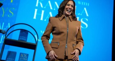 Harris hints at possible 2028 comeback bid: 'I am not done'