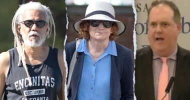 Harvard brass mum as rival schools denounce political violence after series of professor blunders
