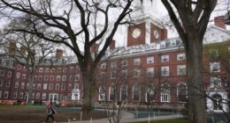 Harvard's unblinking hypocrisy: Dean denounces 'evil' police, 'whiteness'