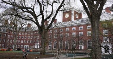 Harvard's unblinking hypocrisy: Dean denounces 'evil' police, 'whiteness'