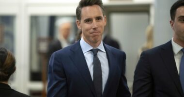 Hawley Rips Statue-Wrecking Left’s Crocodile Tears Over White House Renovations: ‘Give Me a Break’