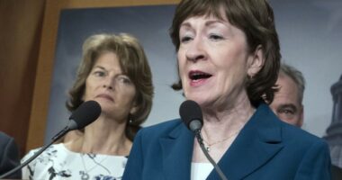 Here Are the Five Republican Senators Who Voted With Dems to End Trump's Tariffs on Brazil