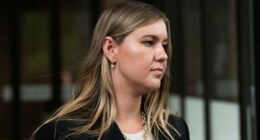 Brittany Higgins has abandoned appeals against her costly defamation battle loss to her former boss, ex-Liberal senator Linda Reynolds.