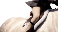 Hillsborough County seeks public input on equestrian center relocation