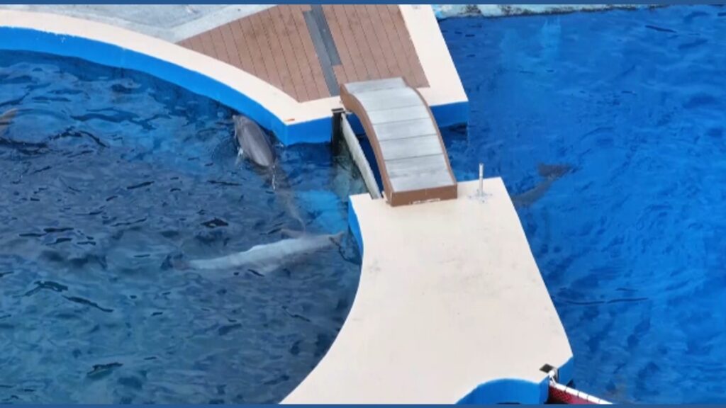 Historic Marineland faces uncertain future as supporters push for preserving site's legacy