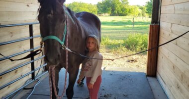 Horse therapy facility ‘hoofing it’ to a new location in Decatur