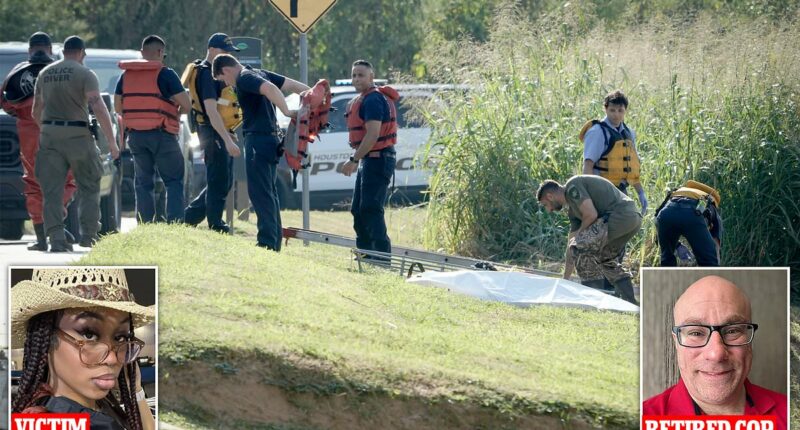 Houston killer fears grow as retired detective gives chilling verdict