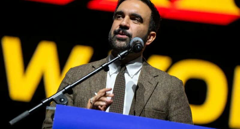 How Zohran Mamdani could threaten public safety for decades