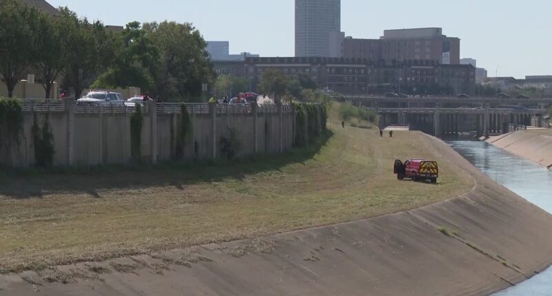 How many bodies have been found in Houston bayous since 2023