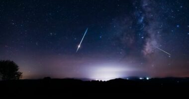 Milky Way stars with meteor shower trails and countryside silhouettes.