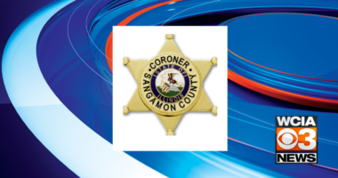 Human skull discovered in Springfield creek; coroner and police investigating