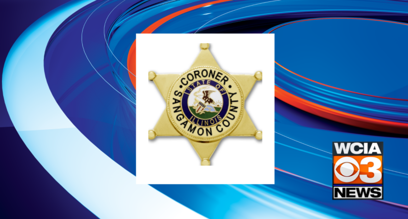 Human skull discovered in Springfield creek; coroner and police investigating