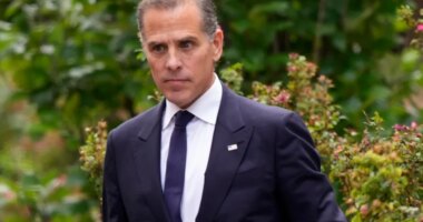 Hunter Biden on pardon from father: 'Donald Trump went and changed everything'