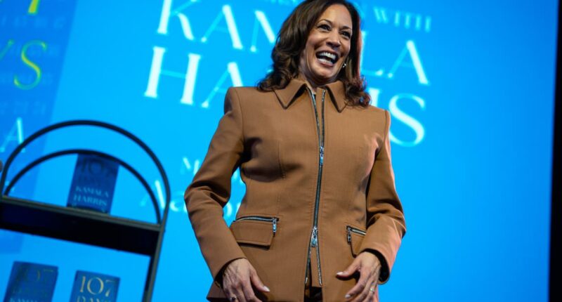 'I am not done': Kamala Harris hints at another White House bid