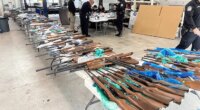 ICE, CBP seize 400 firearms hidden in fake trailer walls southern border crossing