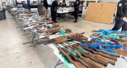ICE, CBP seize 400 firearms hidden in fake trailer walls southern border crossing