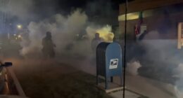 ICE Chicago news: Federal judge questions ICE, CBP on federal agents' use of force, tear gas