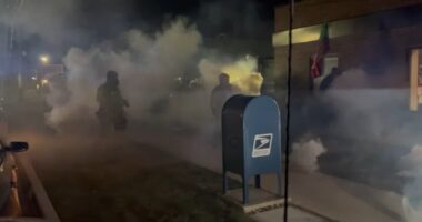 ICE Chicago news: Federal judge questions ICE, CBP on federal agents' use of force, tear gas
