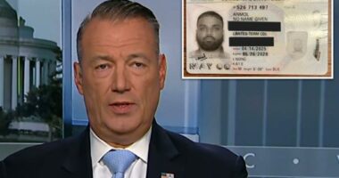ICE Director Todd Lyons fumes over illegal migrant Anmol Anmol's NY-issued 'No Name Given' driver's license
