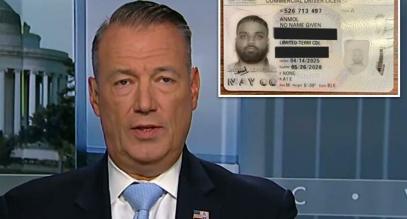 ICE Director Todd Lyons fumes over illegal migrant Anmol Anmol's NY-issued 'No Name Given' driver's license