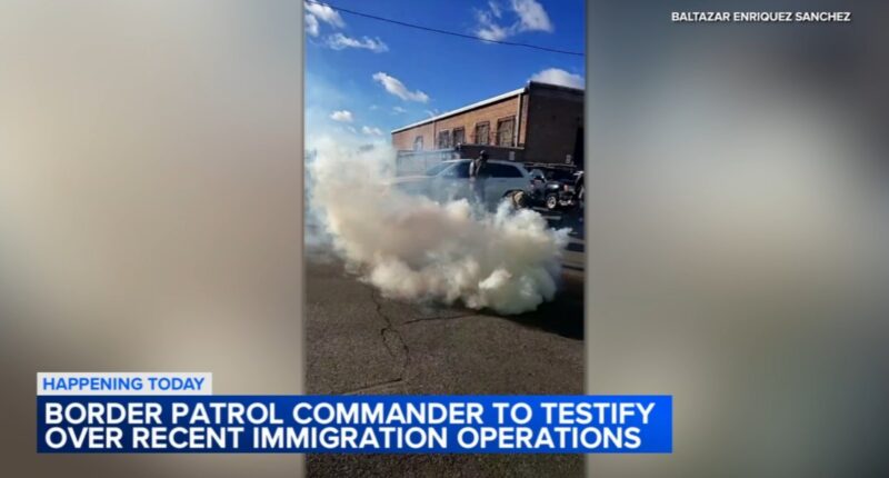 ICE in Chicago news: Border Patrol Chief Greg Bovino appears in federal court on immigration operations
