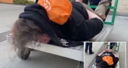 ICE posts viral video of cuffed Portland protester being wheeled away on flatbed cart