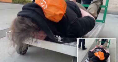 ICE posts viral video of cuffed Portland protester being wheeled away on flatbed cart