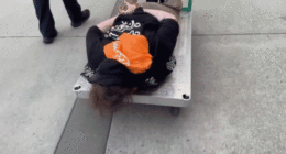 GIF of suspect being rolled away