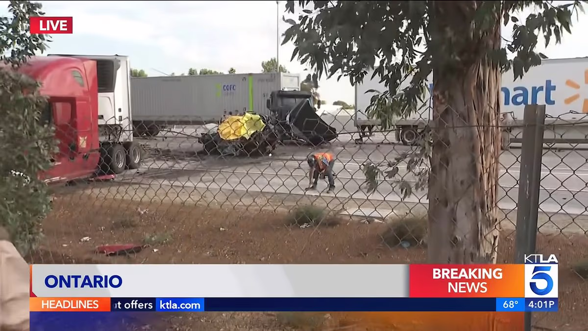 Illegal migrant caught and released is the suspect in horror crash